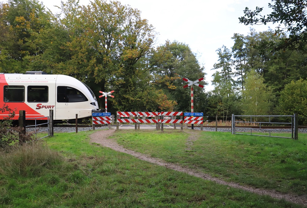 Arriva trein Zutphen Winterswijk