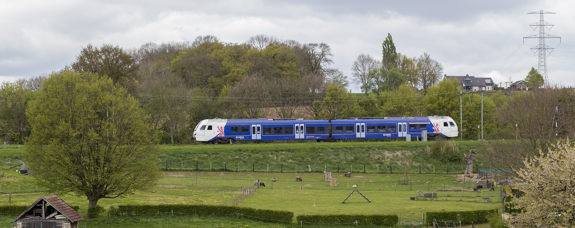 arriva limburg