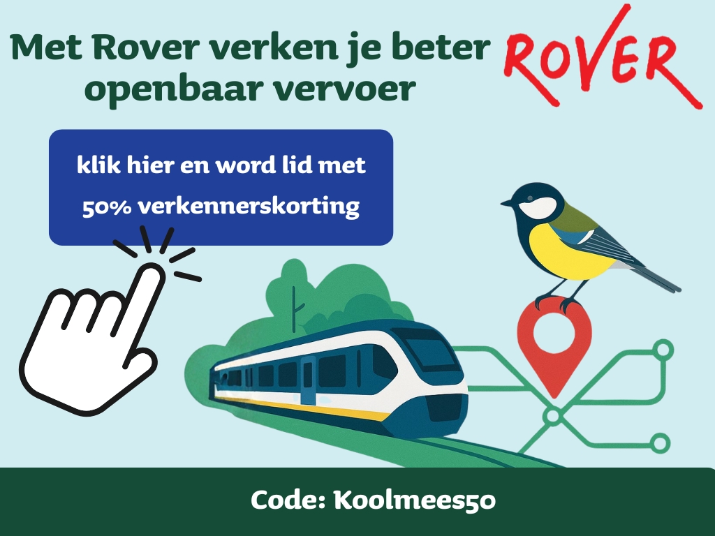 Koolmees1 Presentatie 43 2