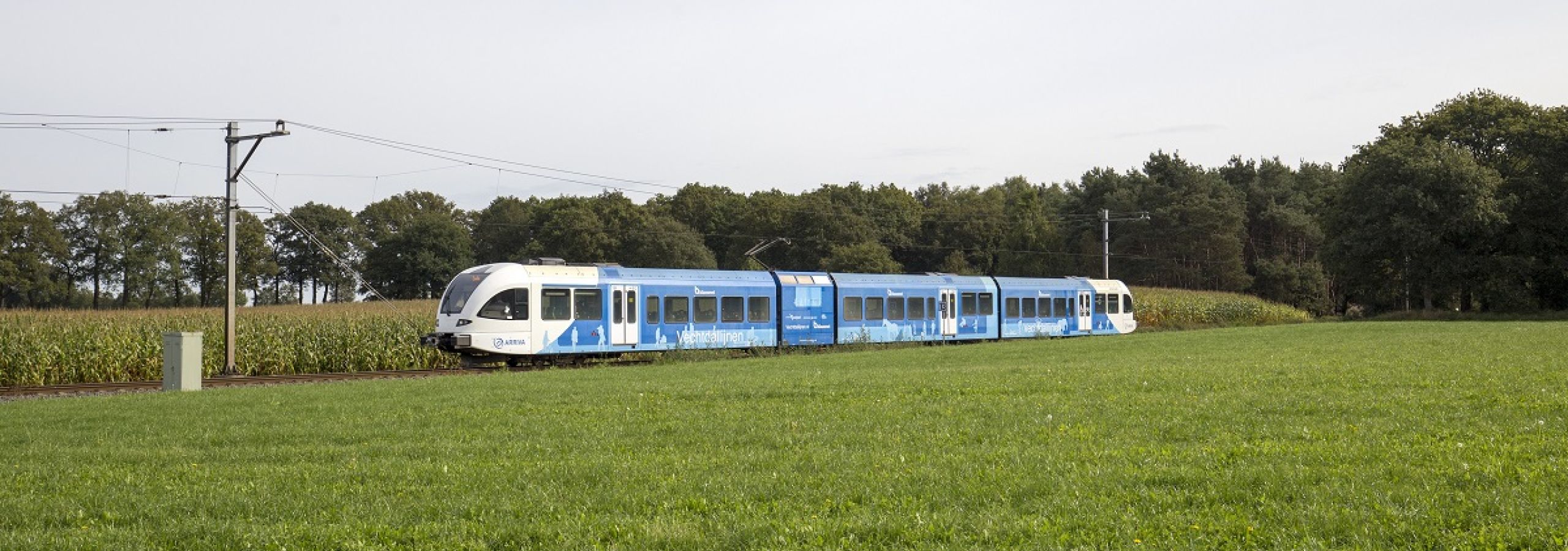 Vechtdallijn